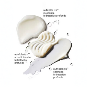 AVEDA NUTRIPLENISH HYDRATING ESSENTIALS HOLIDAY SET DEEP MOISTURE