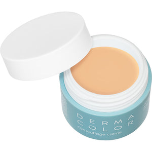 KRYOLAN DERMACOLOR CAMOUFLAJE CREAM D11