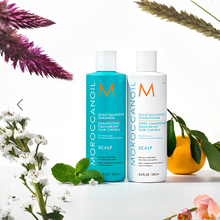 Cargar imagen en el visor de la galería, MOROCCANOIL ACONDICIONADOR EQUILIBRIO DEL CUERO CABELLUDO, 1000 ML