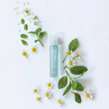 Cargar imagen en el visor de la galería, AVEDA COOLING BALANCING OIL CONCENTRATE ROLLER BALL, 7 ML