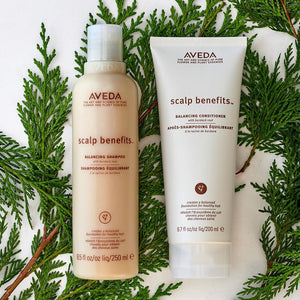 aveda scalp benefits balancing conditioner beauty art mexico