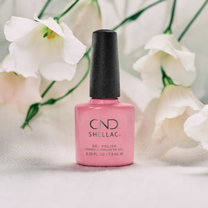 cnd shellac kiss from a rose beauty art mexico